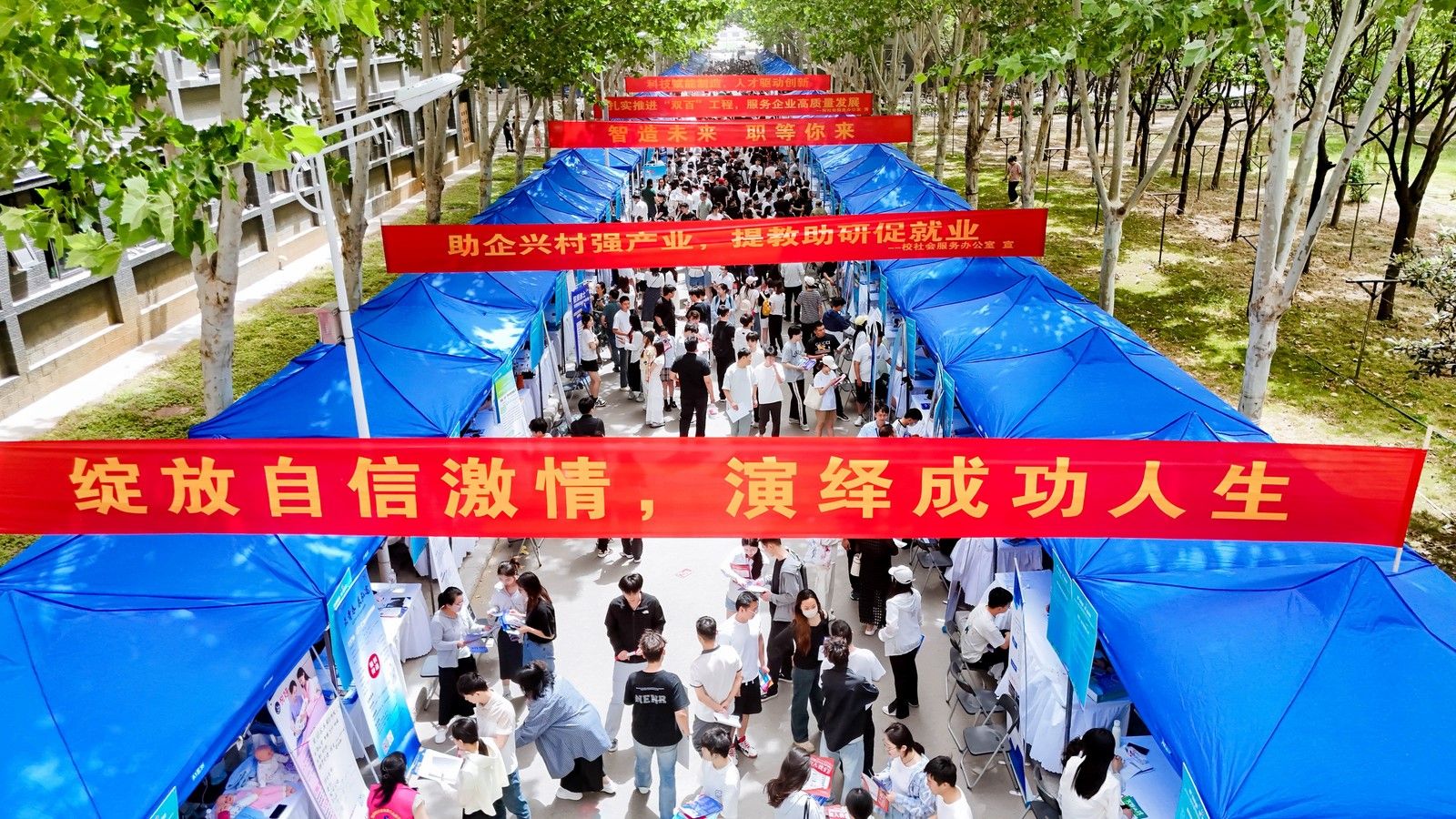 437ccm必赢国际官网