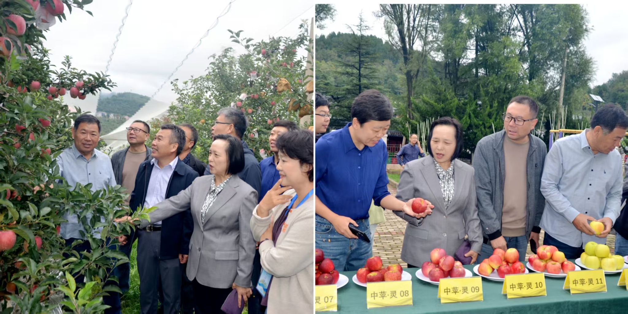 437ccm必赢国际官网