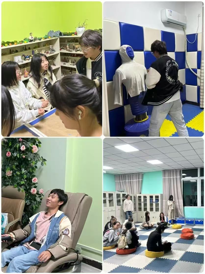 437ccm必赢国际官网
