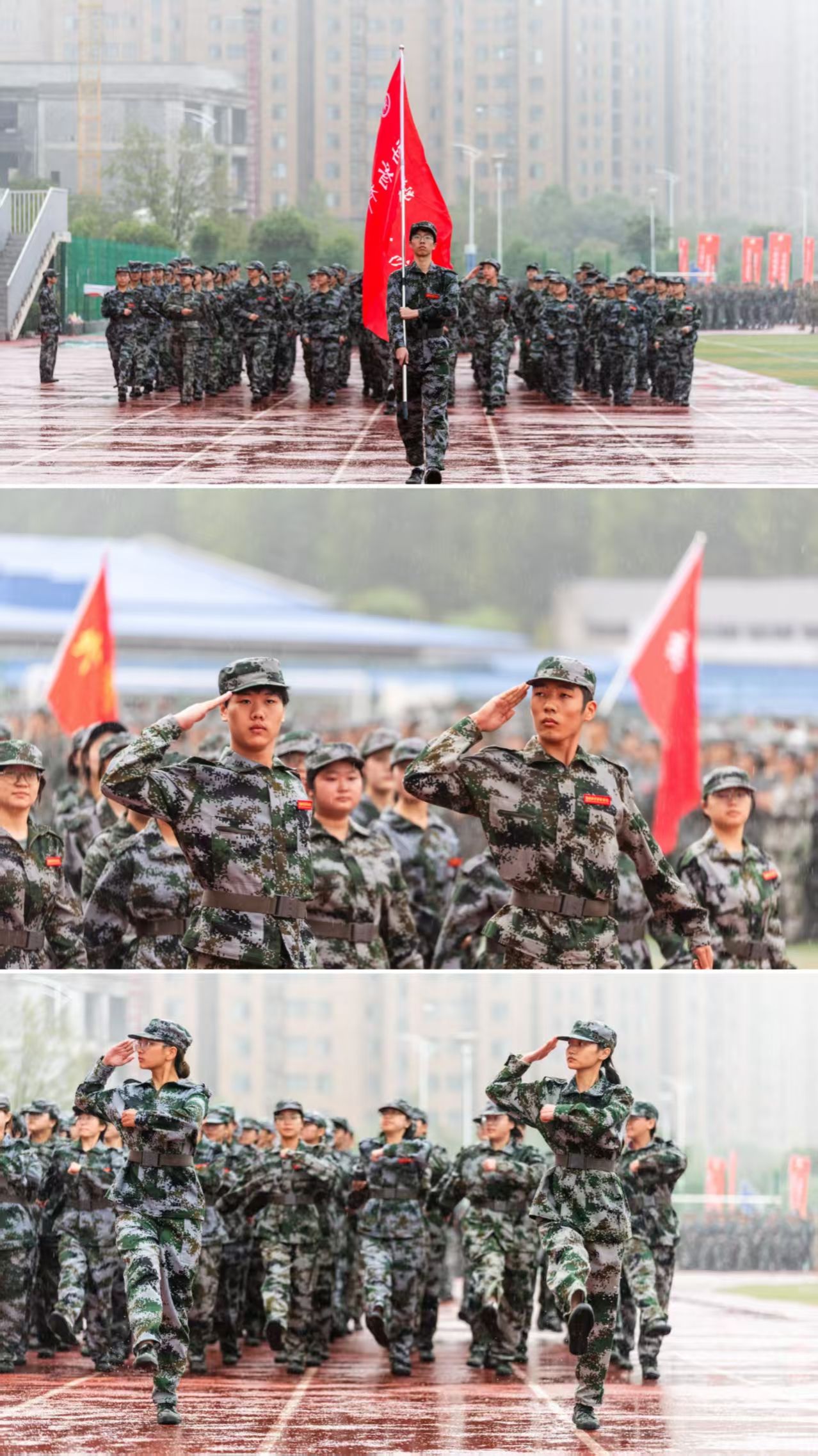 437ccm必赢国际官网